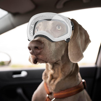 NAMSAN Hundebrille mit Weit Sichtfeld, UV-Schutz Grosse Hunde Sonnenbrille, Augen Schützen Klare Hun