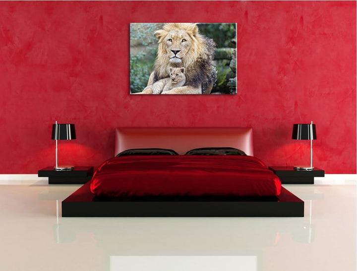 Pixxprint Löwe kuschelt mit Jungtier auf Leinwand, XXL riesige Bilder fertig gerahmt mit Keilrahmen,