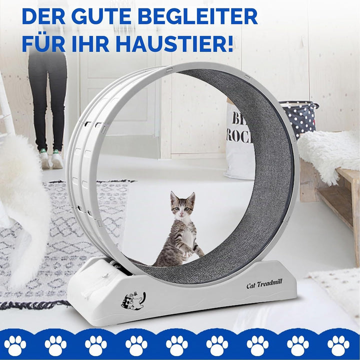 homegroove 31,5 Zoll Katzenräder für Indoor-Katzen, Plastik Katze Übung Laufband Rad mit Teppich Sta