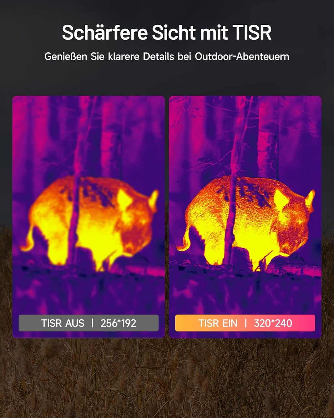 TOPDON TS004 Wärmebildkamera Jagd, 320x240 TISR IR-Auflösung 50Hz Wärmebild-Monokular, 13mm Objektiv