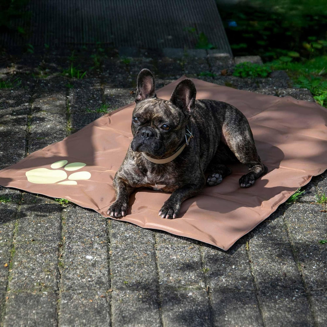 dobar® 60421 Kühlmatte für Hunde - Hundekühlmatte für Hund & Katze - selbstkühlende Matte für Hausti