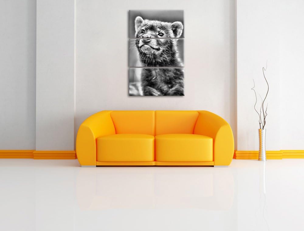 Pixxprint freches Frettchen als Leinwandbild | Grösse: 3 Teilig (120x80) | Wandbild| Kunstdruck | fe