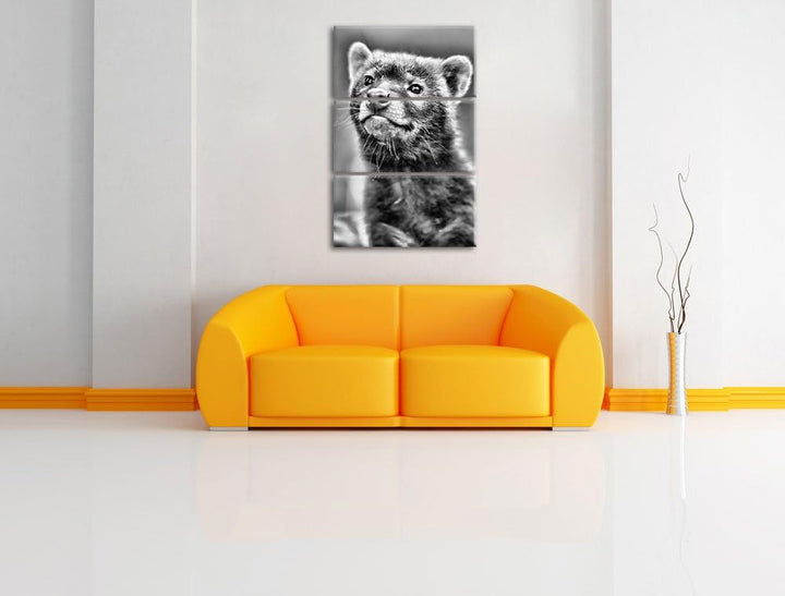 Pixxprint freches Frettchen als Leinwandbild | Grösse: 3 Teilig (120x80) | Wandbild| Kunstdruck | fe