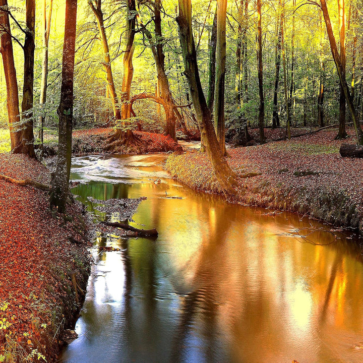 Runa Art Bild Schlafzimmer Wohnzimmer Wald Landschaft 5 Teilig Fluss Braun Wandbilder auf Vlies Lein