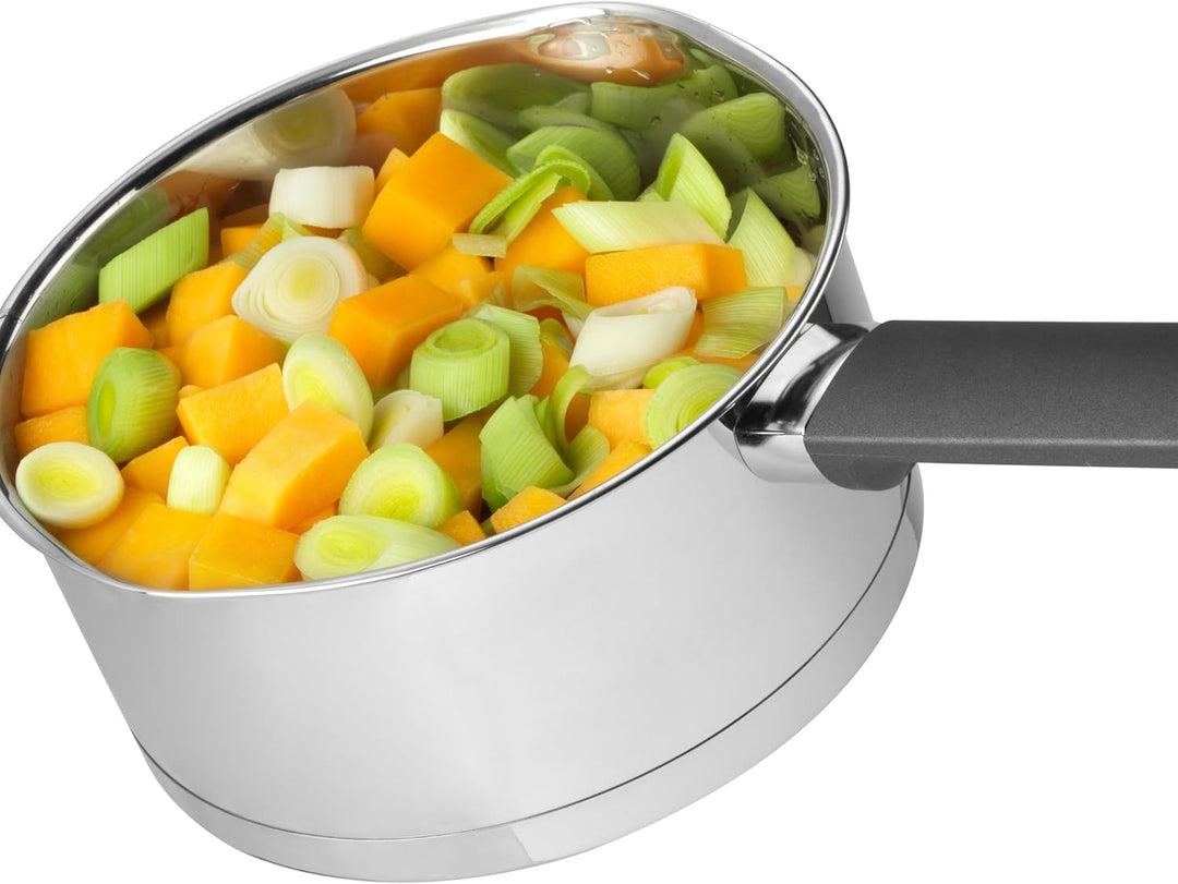 Russell Hobbs RH01163EU Excellence 18cm stieltopf mit deckel, 2L Kochtopf stieltopf mit Glasdeckel,