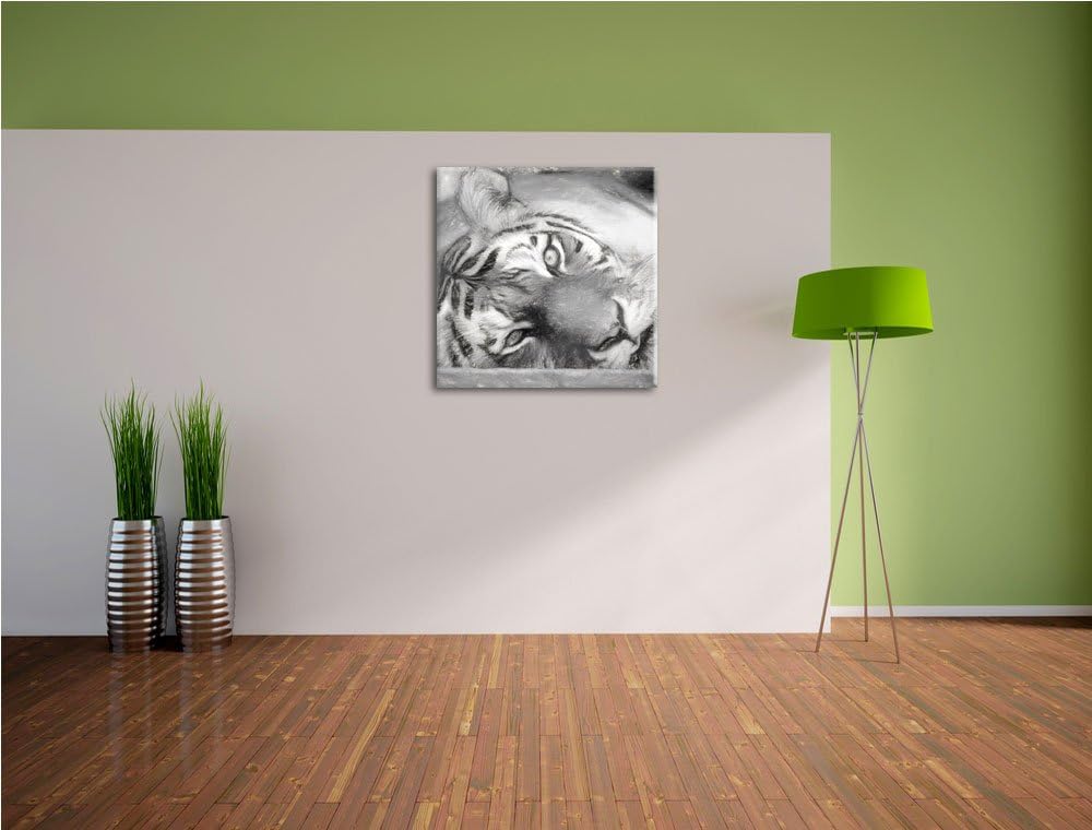 Pixxprint Liegender Tiger/Format: 70x70cm / Leinwandbild fertig bespannt Wandbild Kunstdruck, 70x70