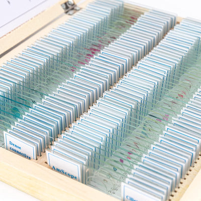 AmScope PS100A Vorbereitetes Objektträger-Set für die Daturwissenschaftliche Grundausbildung, 100 Ob