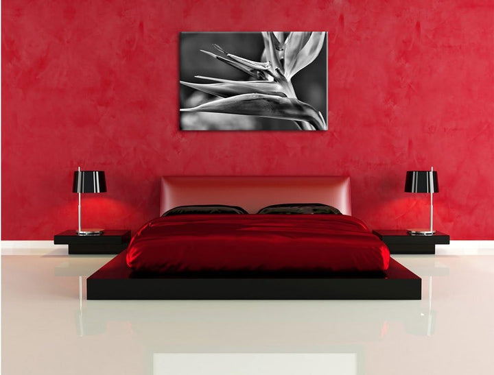 Pixxprint Tropische Blume / 100x70cm Leinwandbild bespannt auf Holzrahmen/Wandbild Kunstdruck Dekora