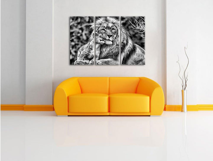 Pixxprint Monocrome, schöner Löwe mit Jungtier 3-Teiler Leinwandbild 120x80 Bild auf Leinwand