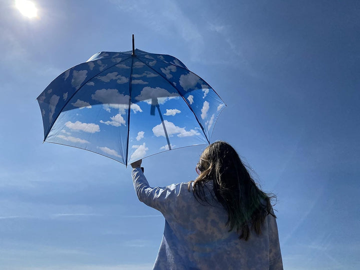 VON LILIENFELD Regenschirm Wolken Bayrischer Himmel Auf-Automatik Damen Herren Stockschirm Stabil