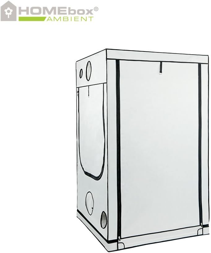 Homebox Ambient Q120