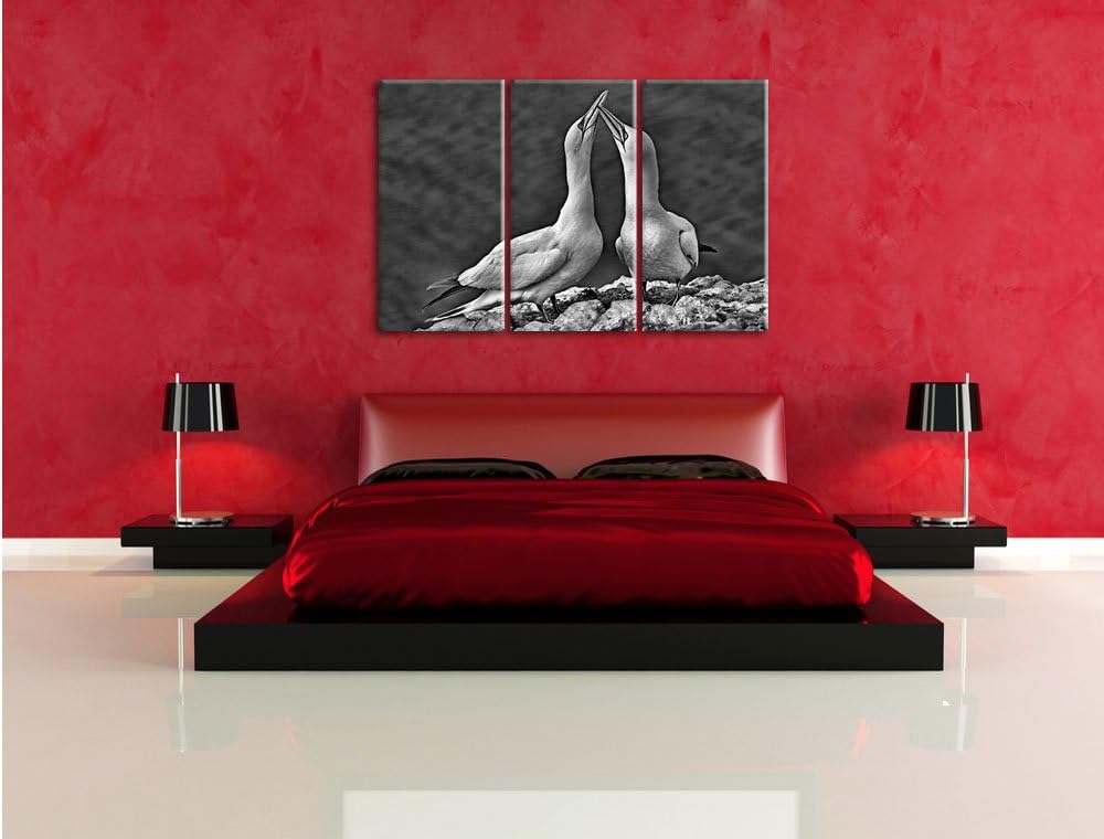 Pixxprint Monocrome, aussergewöhnliche Vögel am Meer 3-Teiler Leinwandbild 120x80 Bild auf Leinwand