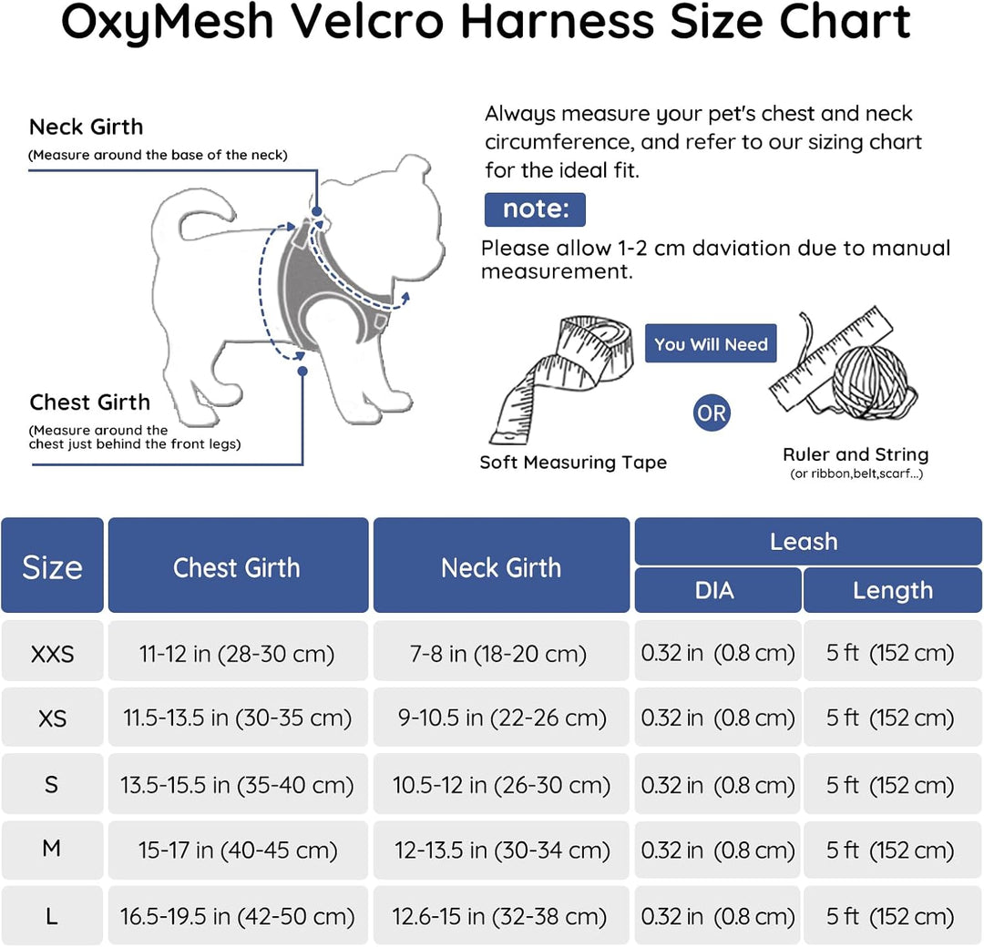 BELLA & PAL Hundegeschirr Kleine Hunde mit Nylonseil Leine, Step-in Geschirr aus Air Mesh, Anti Zug