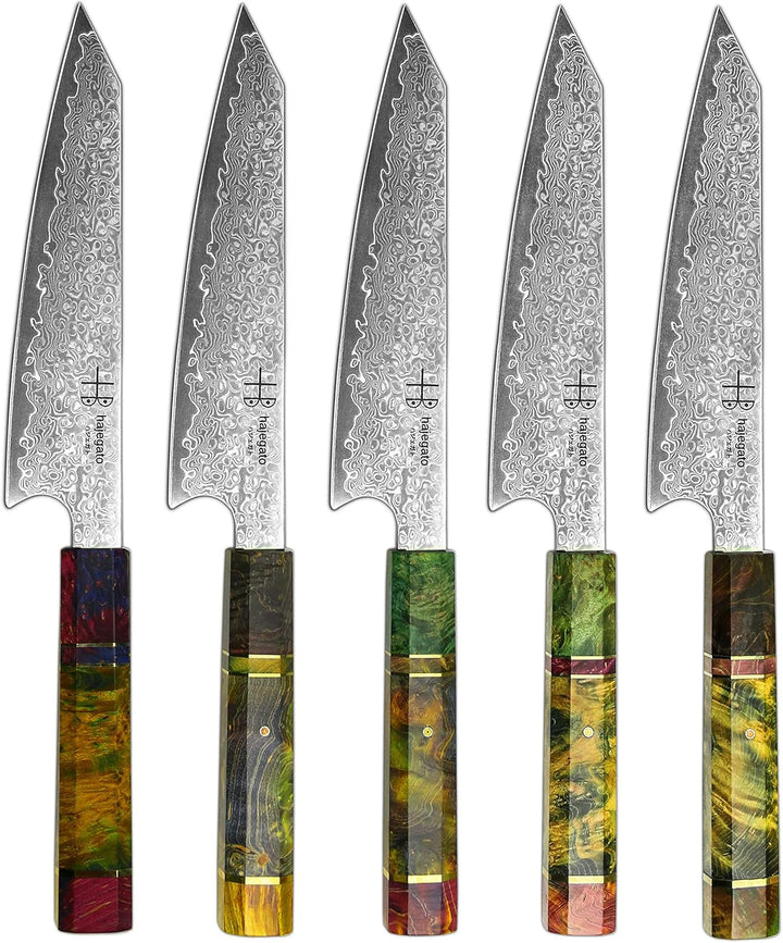 Hajegato Damastmesser Küchenmesser Einzigartiges Griff Kochmesser Profi Messer Japanisches Messer Vg