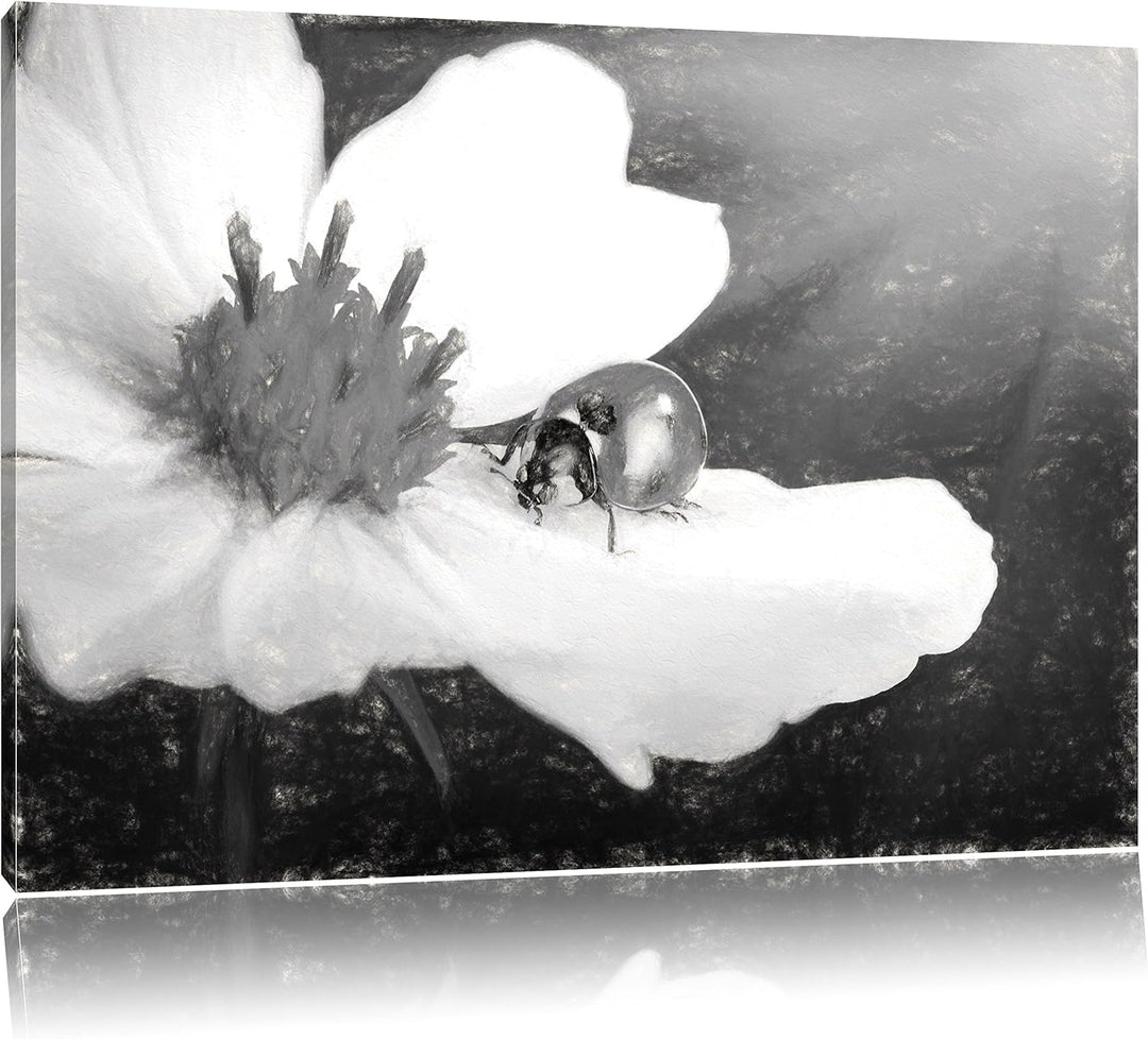 Pixxprint Marienkäfer auf Einer weissen Blume Kunst Kohle Effekt, Format: 100x70 auf Leinwand, XXL r