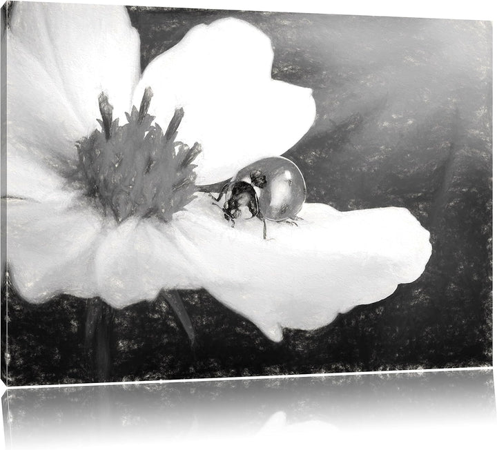 Pixxprint Marienkäfer auf Einer weissen Blume Kunst Kohle Effekt, Format: 100x70 auf Leinwand, XXL r