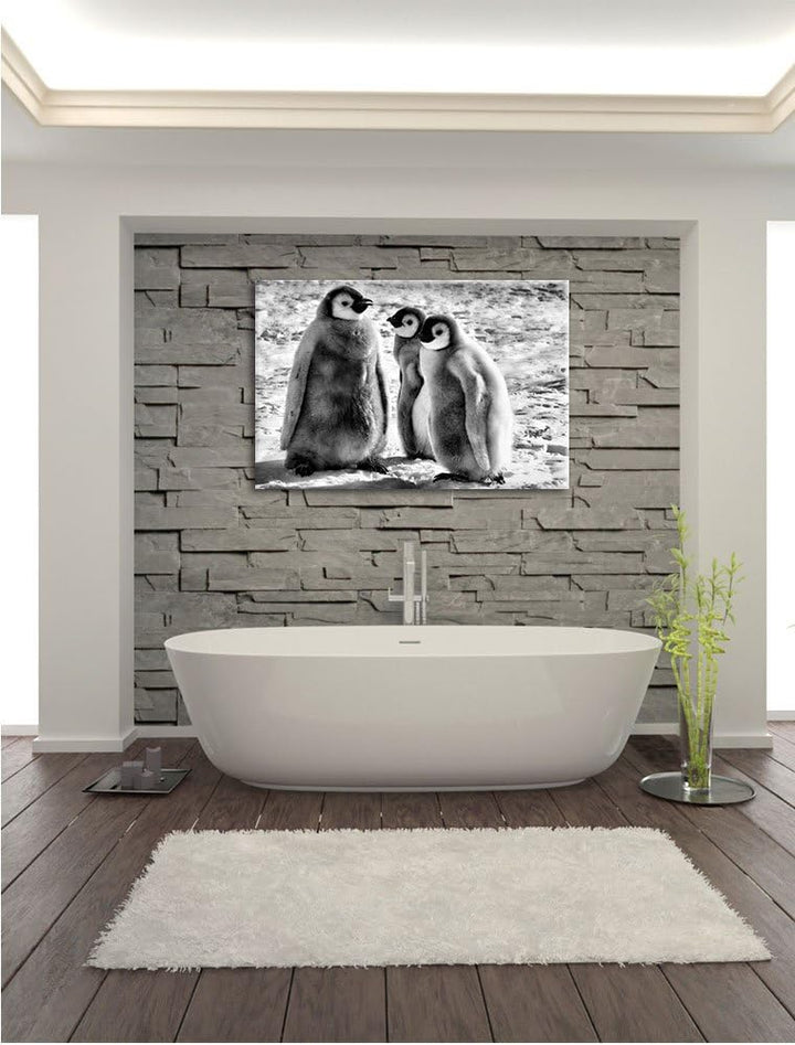 Pixxprint DREI Kaiserpinguinküken/Format: 100x70cm / Leinwandbild fertig bespannt Wandbild Kunstdruc