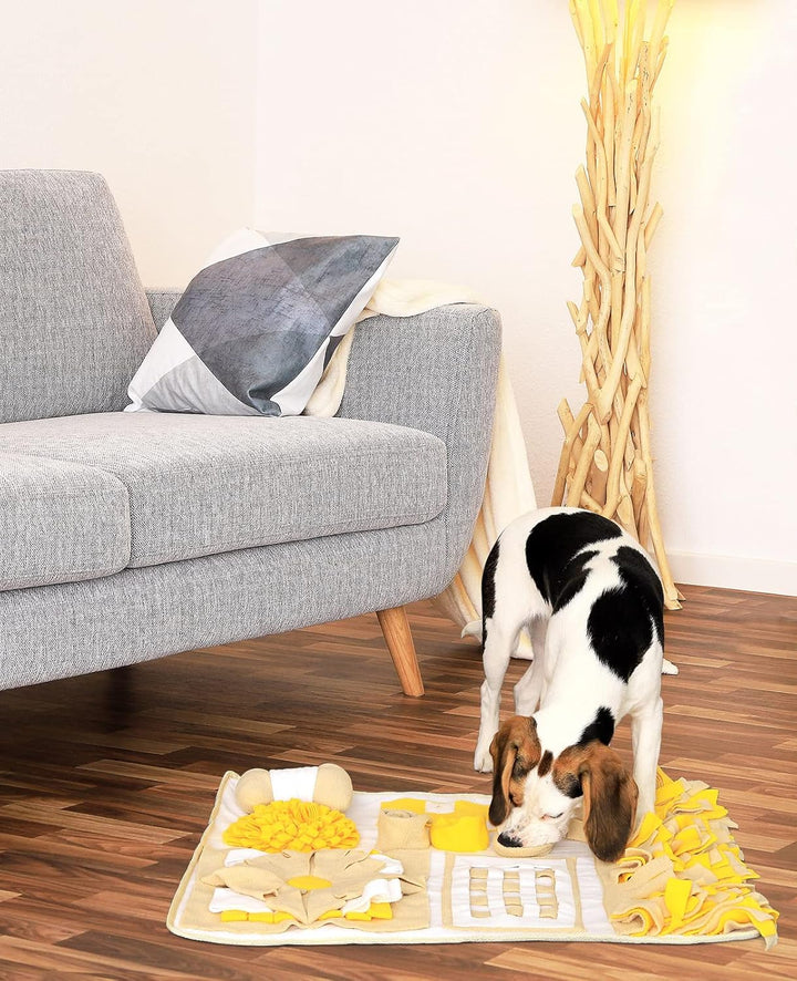lionto Schnüffelteppich für Hunde und Katzen, Suchmatte zum Stressabbau und zur Konzentrationsförder