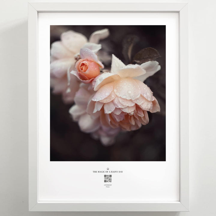 VALINA HÖRBAR RELAX | Hörbild | 3er-Set | Blumen | Poster Poster / Papier 30cm x 40cm, Poster / Papi