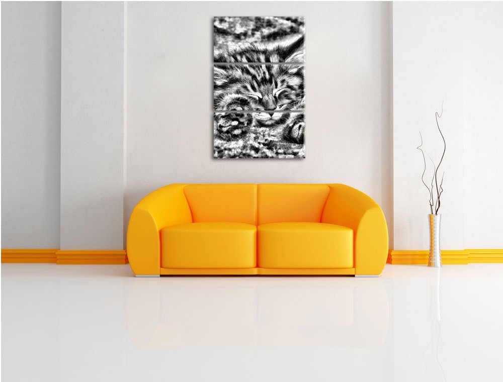 Pixxprint Süsse Baby Katze als Leinwandbild/Grösse: 3 Teilig (120x80) cm/Wandbild/Kunstdruck/fertig