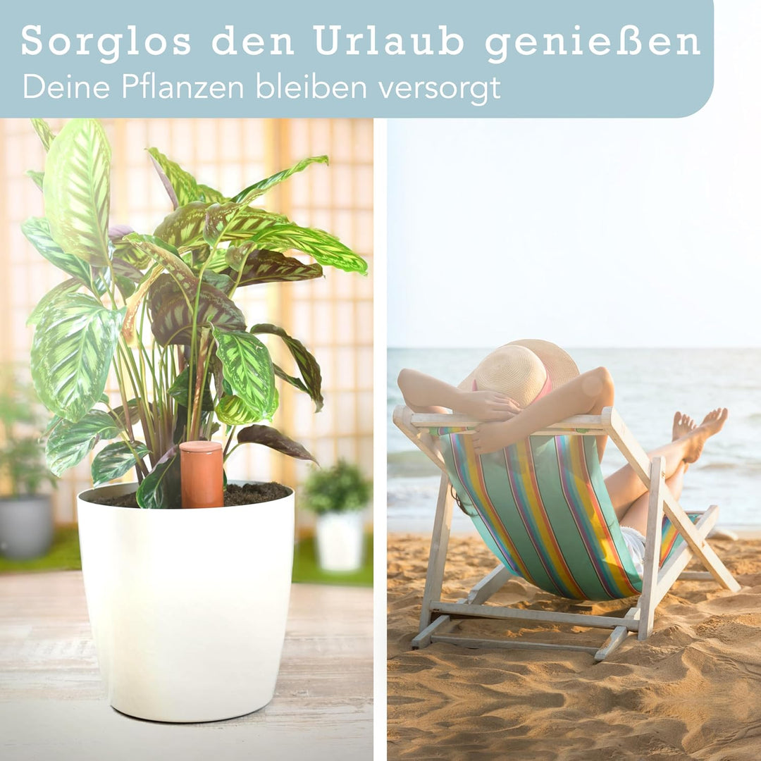 Terracotta Giesshilfe (3X 330 ml) handgefertigt für Bewässerung Zimmerpflanzen | Wasserstandsanzeige