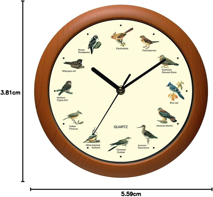 Belinlen Singender Vogel Wanduhr 30,5 cm der Vogel Namen und Lieder New 12 inch, New 12 inch