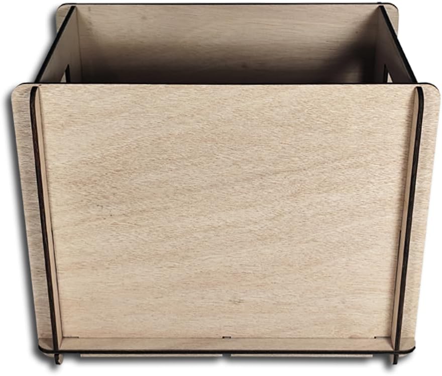 Protected Schallplatten Plywood Holz Box