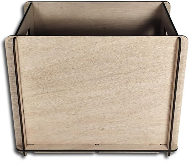 Protected Schallplatten Plywood Holz Box