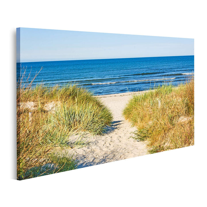 islandburner Bild auf Leinwand Strand Zugang Weg Zur Ostsee Marram Gras Bilder Wandbilder Poster Lei
