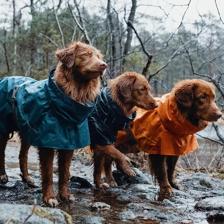 Hurtta Monsoon Hunderegenmantel, Wasserdicht Regenjacke für Hunde mit Reflektoren, Blackberry Schwar