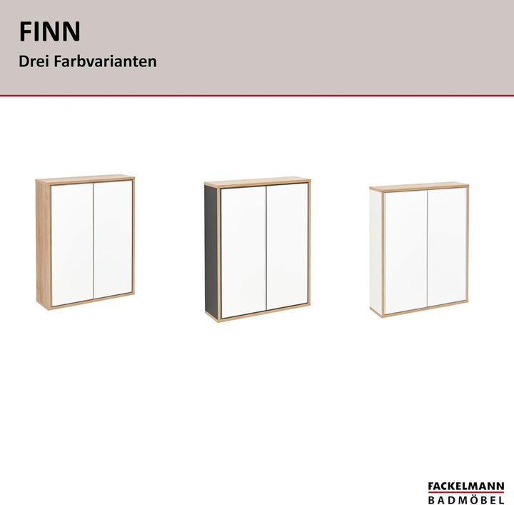 FACKELMANN Finn Spiegelschrank (60 x 75 x 20,5 cm) – Wandschrank mit Spiegel hängend mit 2 Einlegebö