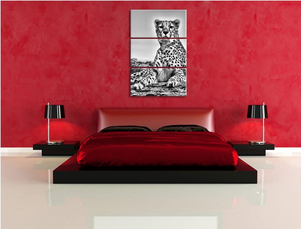 Pixxprint Monocrome, Gepard in Savanne 3-Teiler Leinwandbild 120x80 Bild auf Leinwand
