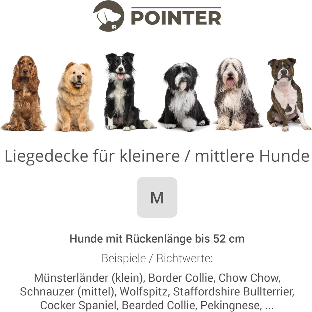 Doctor Bark Pointer | Hundedecke, gepolsterte Liegedecke, Hundematte waschbar (M - 80x60 cm, Hellgra