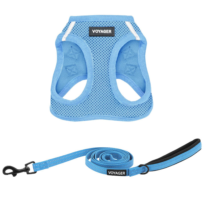 Best Pet Supplies Voyager Step-in Air Allwetter-Mesh-Geschirr und reflektierende Hundeleine, Kombina