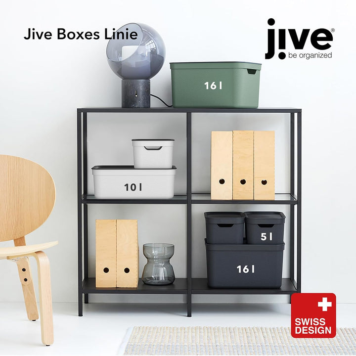 Rotho Jive 3er-Set Aufbewahrungsbox 10l mit Deckel Grün, Grün