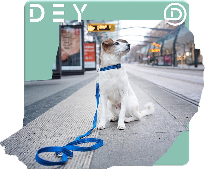 DEY - Premium Hundeleine Nylon 2m | Reflektierend | 3fach Verstellbar | für Kleine, Mittelgrosse u.