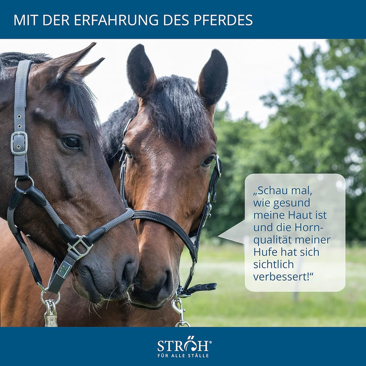 STRÖH Kieselgur Gold Pferd (13kg Feedbox) • Zur Unterstützung von Stoffwechsel & Fellwachstum • Mine