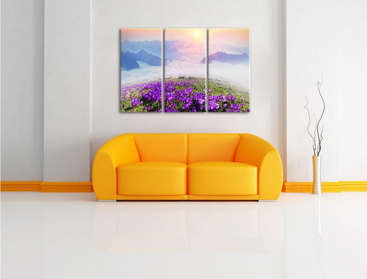 Pixxprint Krokusse in den Bergen als Leinwandbild/Grösse: 3 Teilig (120x80) / Wandbild/Kunstdruck/fe