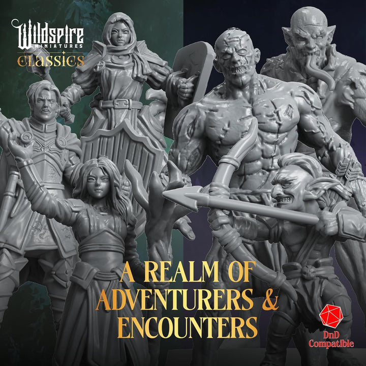 The Realm Set - Grey Version - 195 Minis - Heroes, Monsters, NPC for DND Miniatures Bulk I 28mm Dung