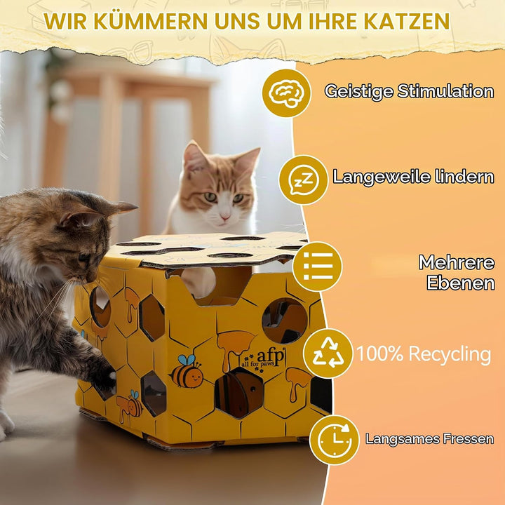 ALL FOR PAWS Katzen-Futter-Spielzeug, Interaktive Leckerli-Spielbox für Katzen, Futterlabyrinth-Box