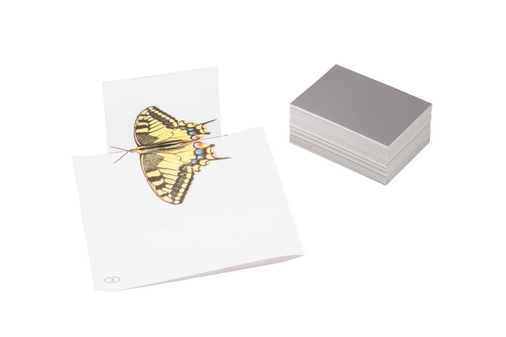 WISSNER 81500 aktiv lernen - 25 Kunststoff Spiegel 87 x 62 x 1.5 mm 9x7 cm set of 25 Single, 9x7 cm