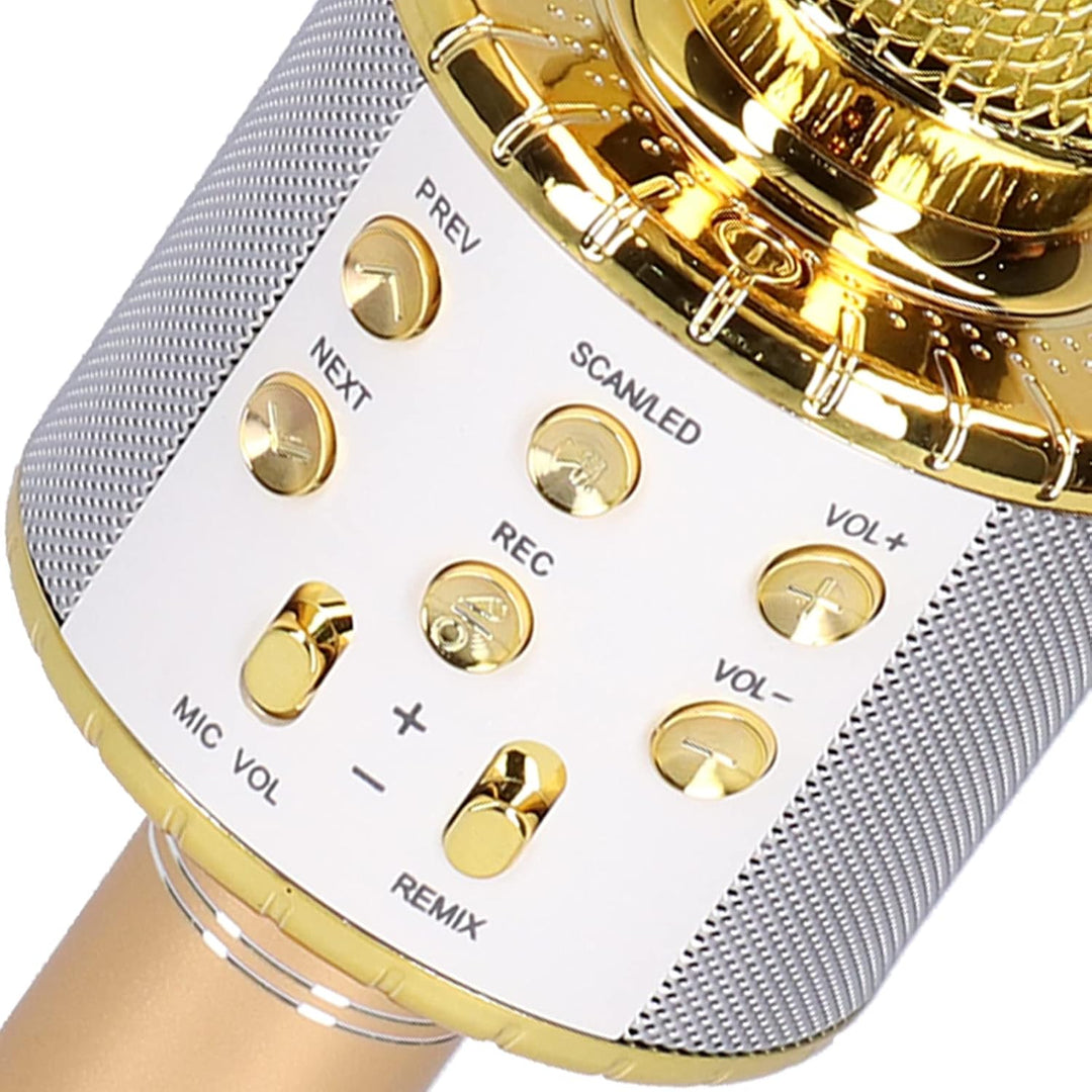 SEAFRONT Tragbarer Kabelloser Mikrofonlautsprecher für Karaoke-Partys mit LED-Licht und High-Fidelit