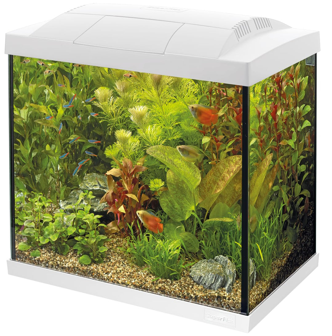 Superfish Start 50 Aquarium, Weiss