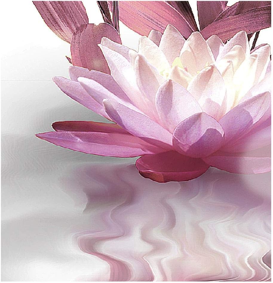 Runa Art Wandbilder Buddha Feng Shui Bild XXL Wohnzimmer Schlafzimmer Grau Rosa Wellness Zen 120 x 8