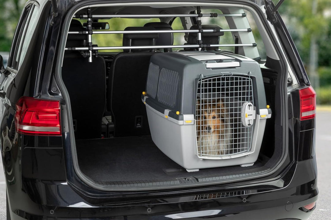 Transportbox GULLIVER 6 IATA 92 x 64 x 66 cm L 92 x B 64 x H 66 cm, L 92 x B 64 x H 66 cm