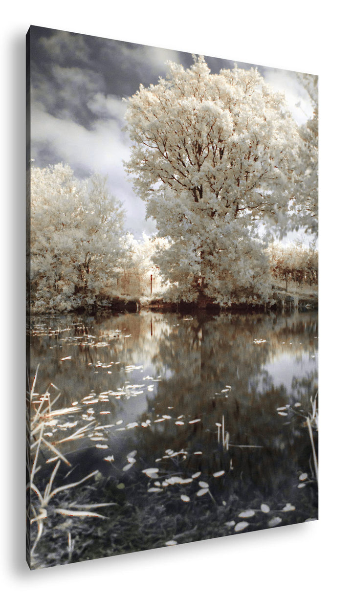 atemberaubender Baum in der Natur im Format: 80x60 als Leinwandbild, Motiv fertig gerahmt auf Echtho