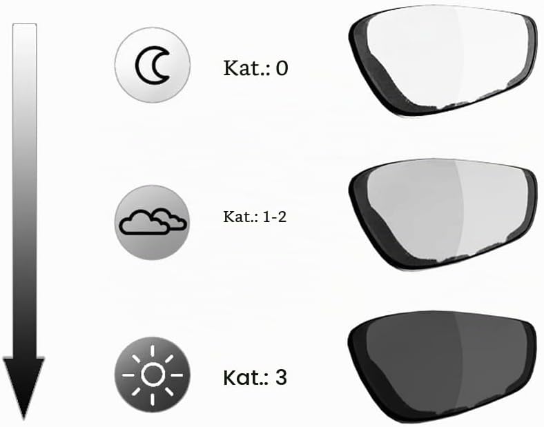 Chillout Rider® | SELBSTTÖNEND | Motorradbrille, Motorradbrille winddicht, Herren &amp; Damen| beschlagf