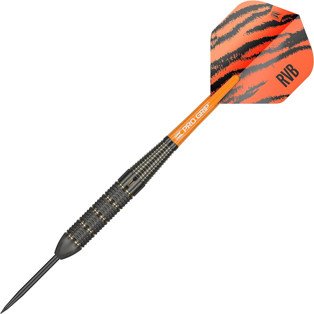 Target Raymond Van Barneveld RVB Brass - Steeldarts 22 Gramm