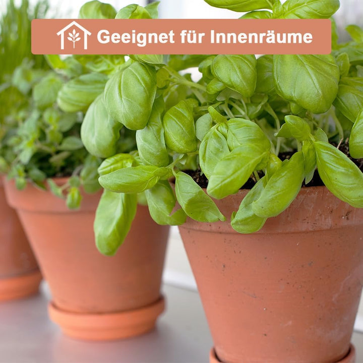 vensovo 20 cm Tontopf für Pflanzen mit Untersetzer, 2 Stück, grosser Terrakotta-Blumentopf mit Ablau