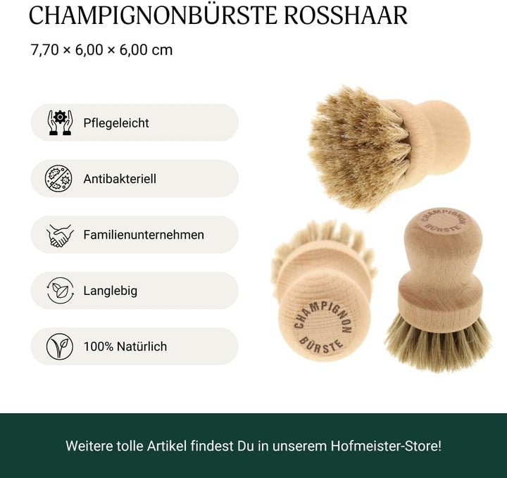 3X HOFMEISTER® Pilzbürste Champignonbürste Holz Naturborste - mit edlem Rosshaar, für alle Pilze gee